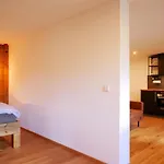 Rinken 9 Διαμέρισμα Hinterzarten