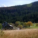 Rinken 9 Hinterzarten