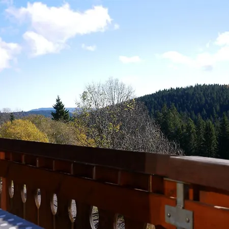 Rinken 9 Hinterzarten