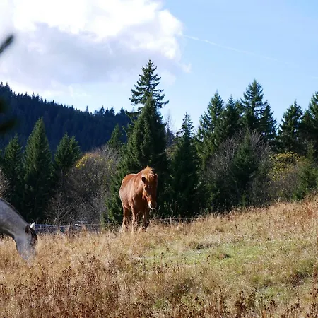 Appartement Rinken 9 *