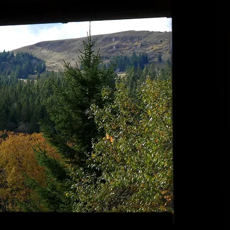 Appartement Rinken 9 *