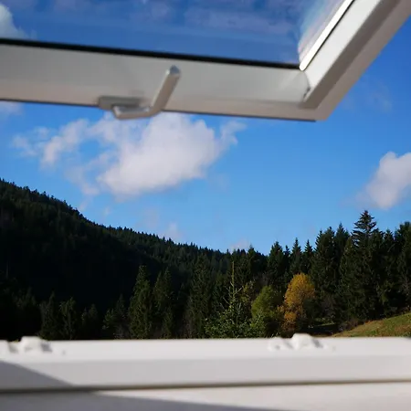 Apartment Rinken 9 Hinterzarten
