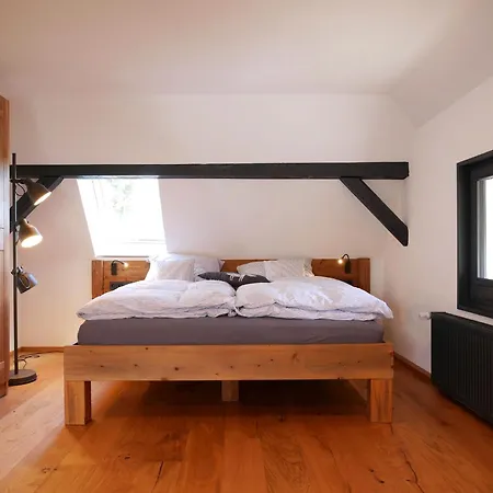 Rinken 9 Apartment Hinterzarten