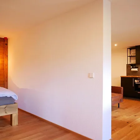 Rinken 9 Apartment Hinterzarten