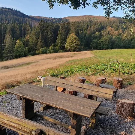 Appartement Rinken 9 Hinterzarten