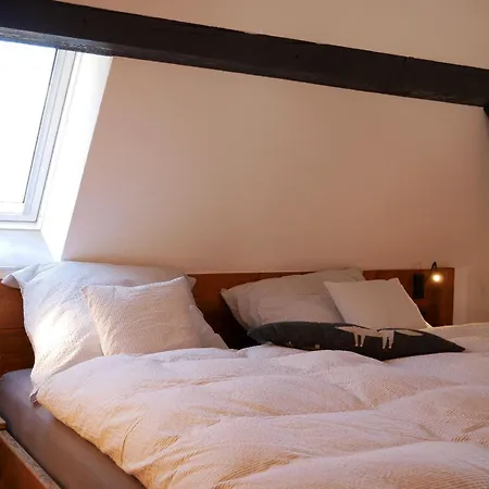 Apartment Rinken 9 Hinterzarten