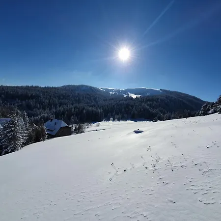 Rinken 9 Appartement Hinterzarten