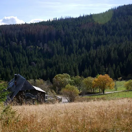 Rinken 9 Hinterzarten